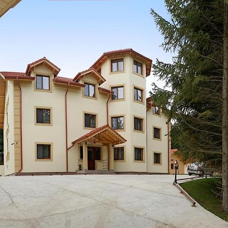 Pensiunea Floarea De Colt Nucşoara Εξωτερικό φωτογραφία