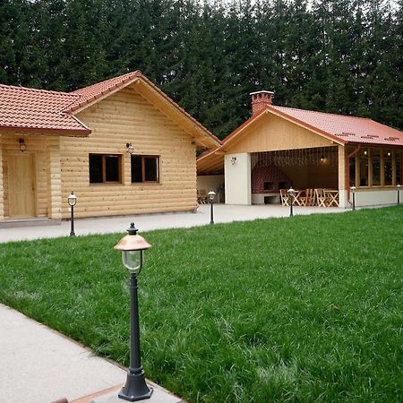Pensiunea Floarea De Colt Nucşoara Εξωτερικό φωτογραφία