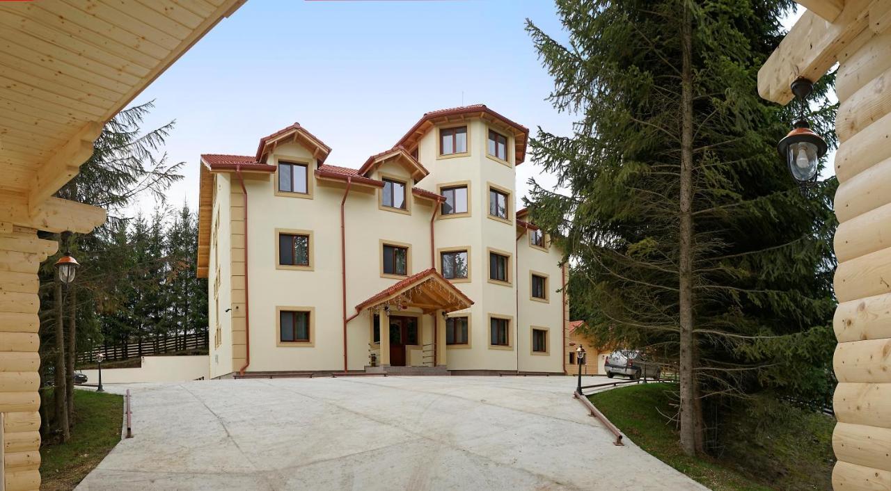 Pensiunea Floarea De Colt Nucşoara Εξωτερικό φωτογραφία