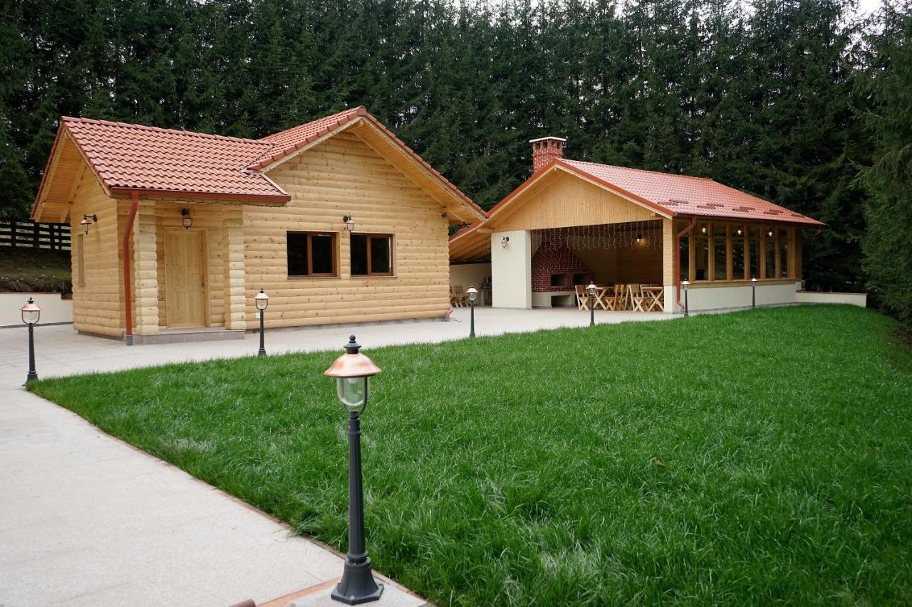 Pensiunea Floarea De Colt Nucşoara Εξωτερικό φωτογραφία